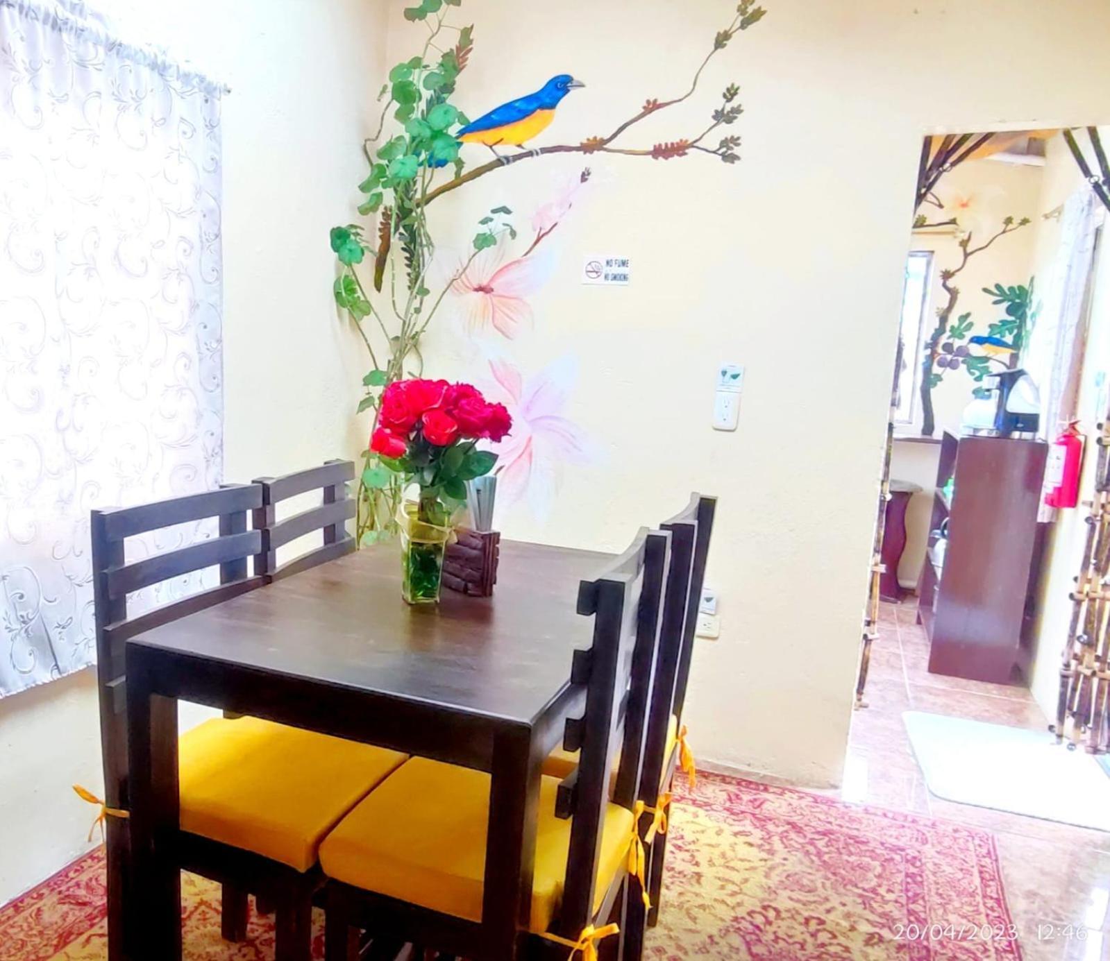 Itchimbia Garden Quito Luxury Suites Exterior foto
